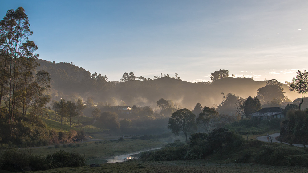 Фотографія Munnar. Sunrise. One Time more. / pekkalakko / photographers.ua