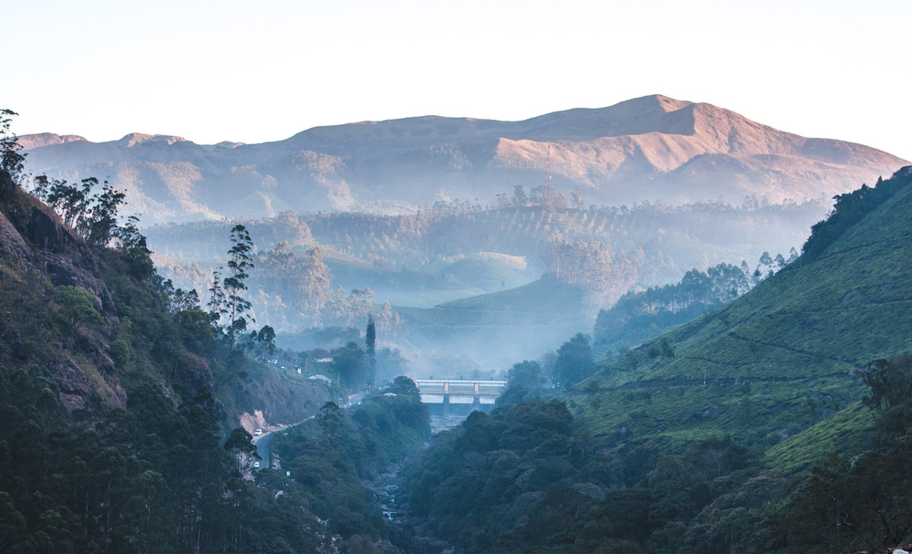 Фотографія Munnar. Sunrise. / pekkalakko / photographers.ua