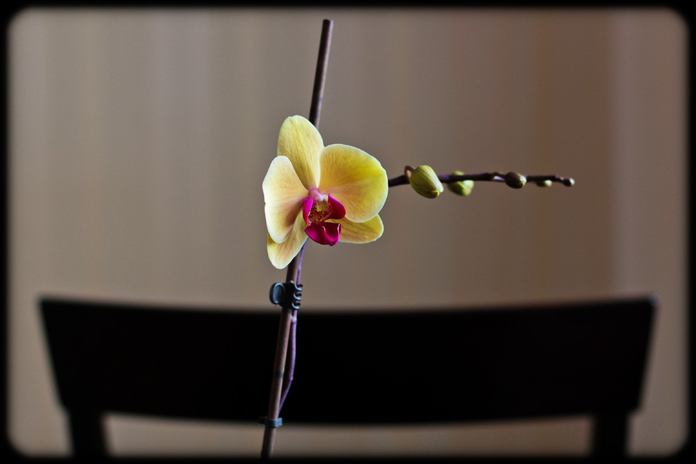 Фотографія Разное / Povyetkin / photographers.ua