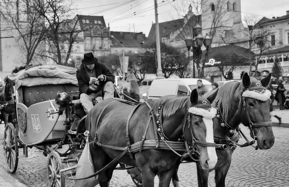 Фотографія Ямщик, не гони лошадей... :-) / VolodyaL / photographers.ua