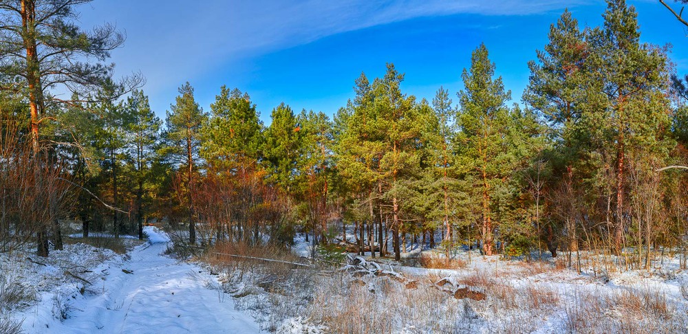 Фотографія Хортица зимой / Андрей Топчиев / photographers.ua