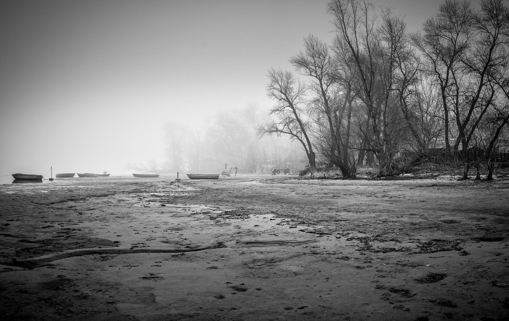 Фотографія весенний туман / Андрей Топчиев / photographers.ua
