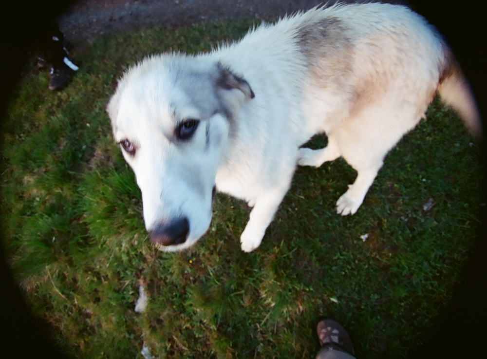 Фотографія тільки не по губах - я на сопілці граю / manyasfon(Ємельянова Людмила) / photographers.ua