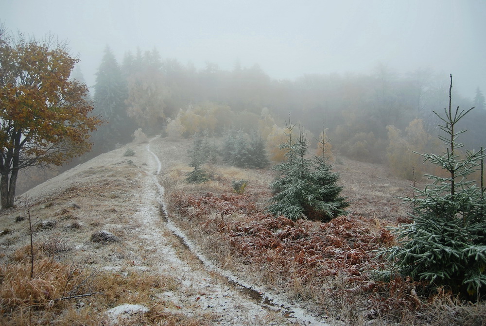 Фотографія Пейзаж / manyasfon(Ємельянова Людмила) / photographers.ua