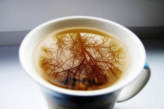 Фотографія Макро / Алина Жемеренко / photographers.ua