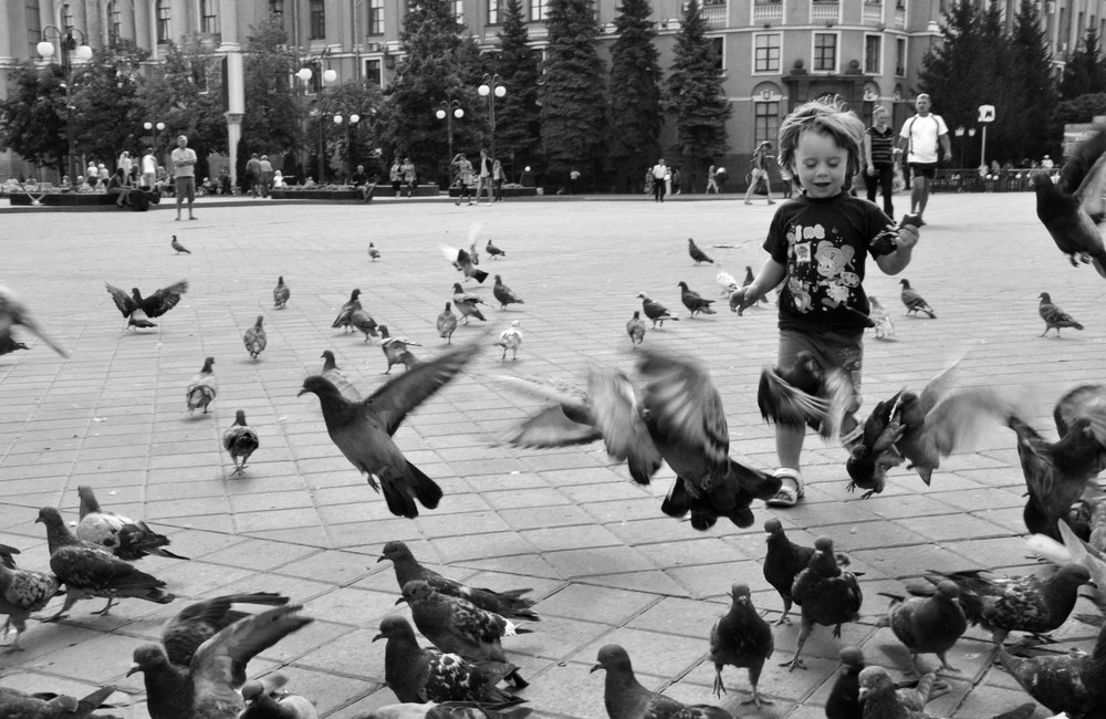 Фотографія Летите голуби, летите... / Ярослав Крючка / photographers.ua