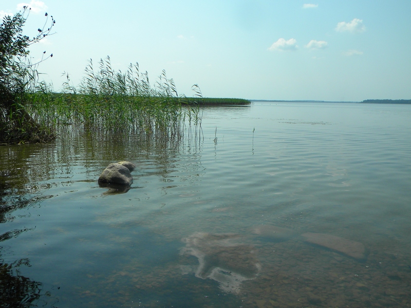 Фотографія Добрий привид озера Струста. / Boguslav Liskovich / photographers.ua