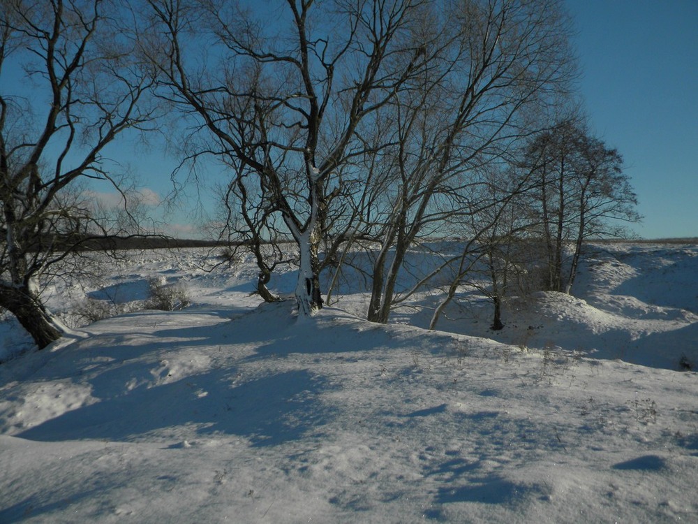 Фотографія Зимовий пейзаж. / Boguslav Liskovich / photographers.ua