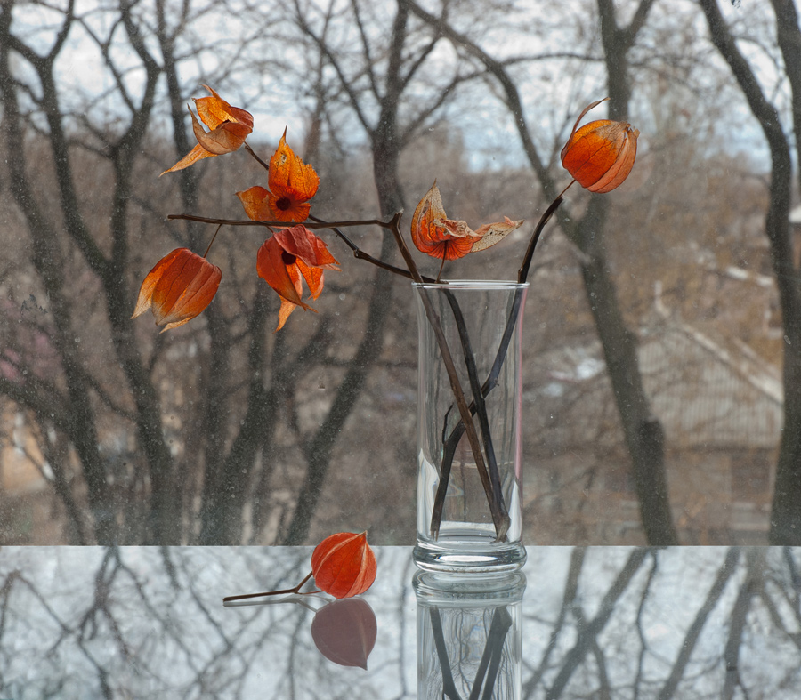 Фотографія Натюрморт / Юлия Вовк / photographers.ua