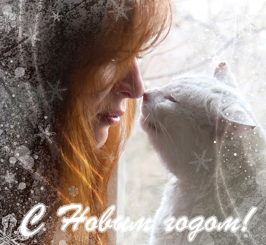 Фотографія С Новым Годом!) / Оксана / photographers.ua