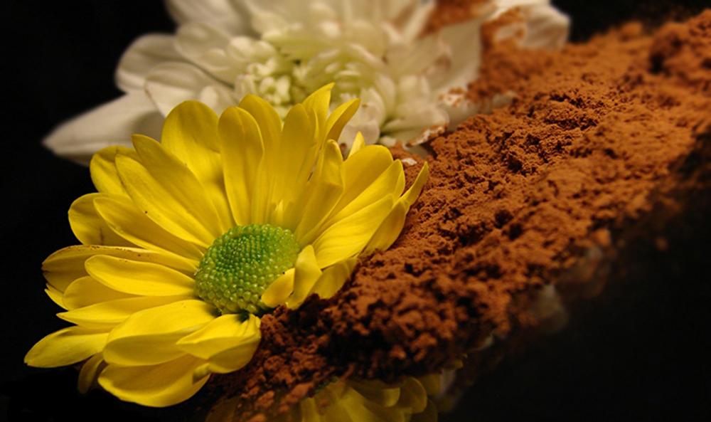 Фотографія Натюрморт / Liebchen / photographers.ua