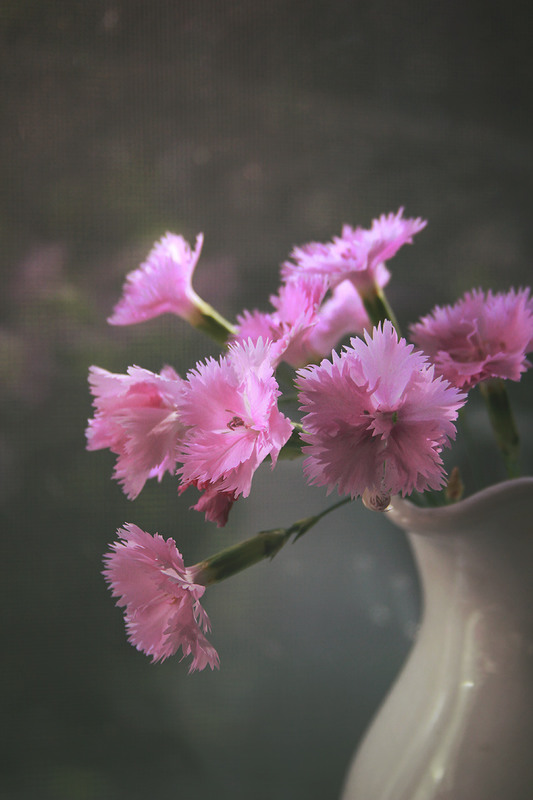 Фотографія О маленьких цветочках... / Наталия (Метрон) / photographers.ua
