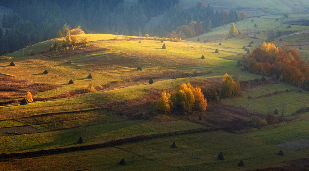 Фотографія *** / Duru Юрій Туряниця / photographers.ua