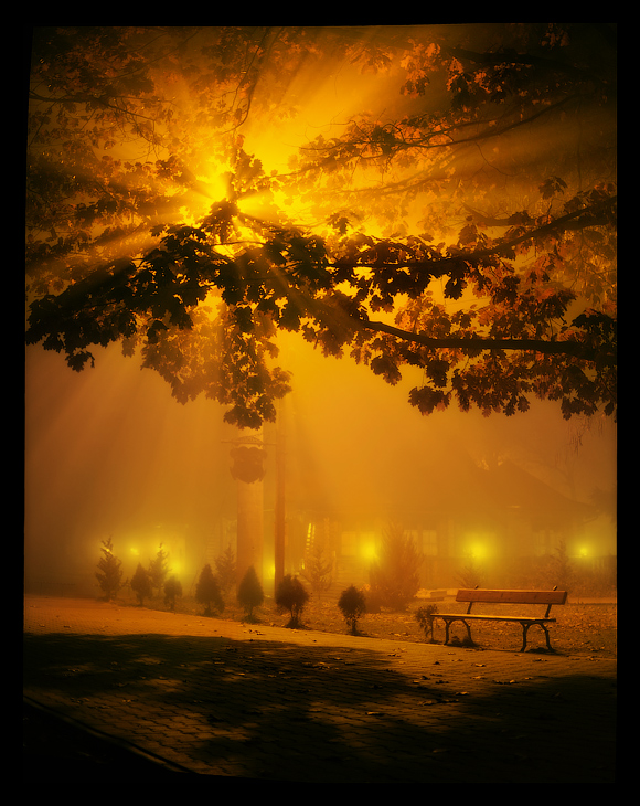Фотографія Ночь, улица, фонарь... скамейка... / Duru Юрій Туряниця / photographers.ua
