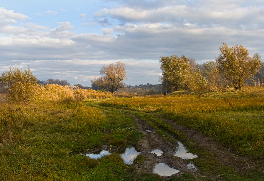 Фотографія Осенний пейзаж / Потемкина Оксана / photographers.ua