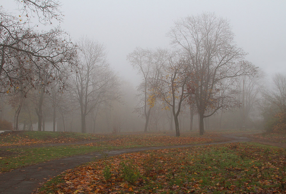 Фотографія Туман в осеннем парке / Потемкина Оксана / photographers.ua