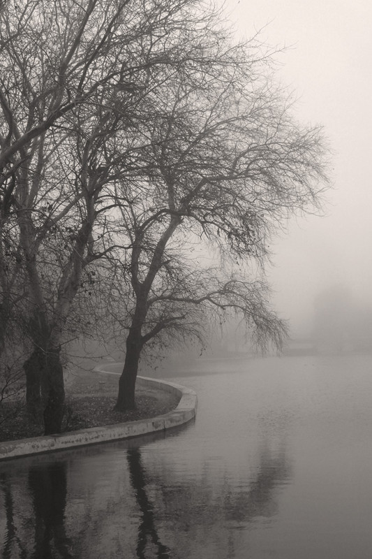 Фотографія Туман в парке / Потемкина Оксана / photographers.ua