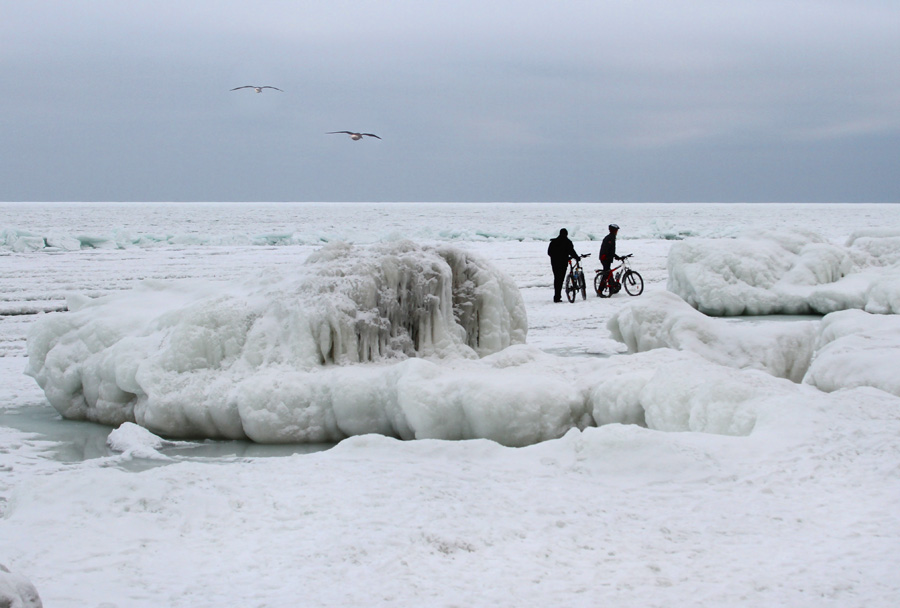Фотографія По морю на велосипедах / Потемкина Оксана / photographers.ua