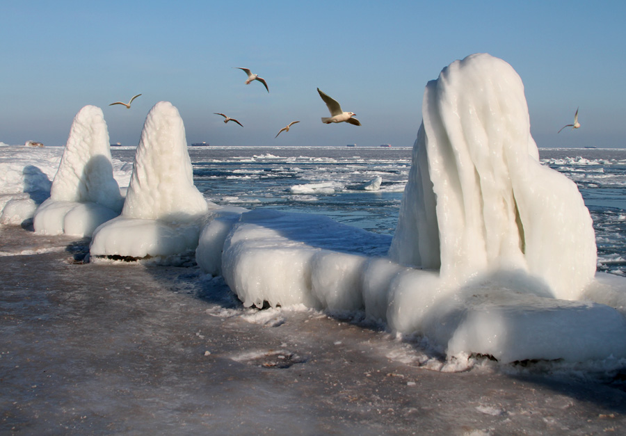 Фотографія Скульпторы море , ветер и мороз / Потемкина Оксана / photographers.ua