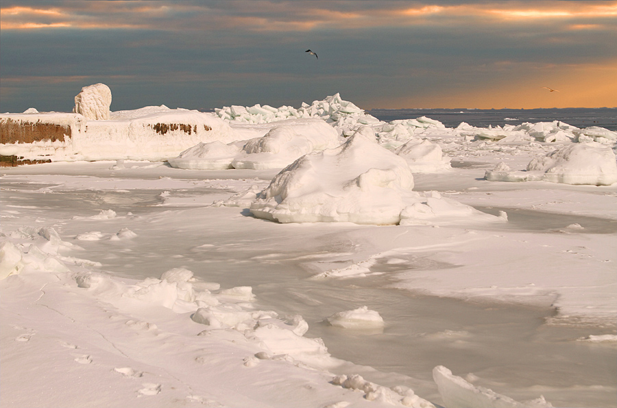 Фотографія Ледяное побережье / Потемкина Оксана / photographers.ua
