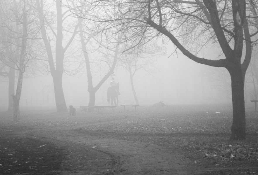 Фотографія Всадник в тумане / Потемкина Оксана / photographers.ua