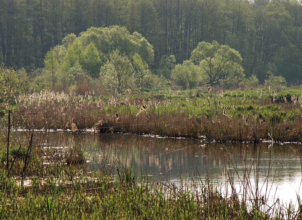 Фотографія Пейзаж / Сергей Кочубей / photographers.ua