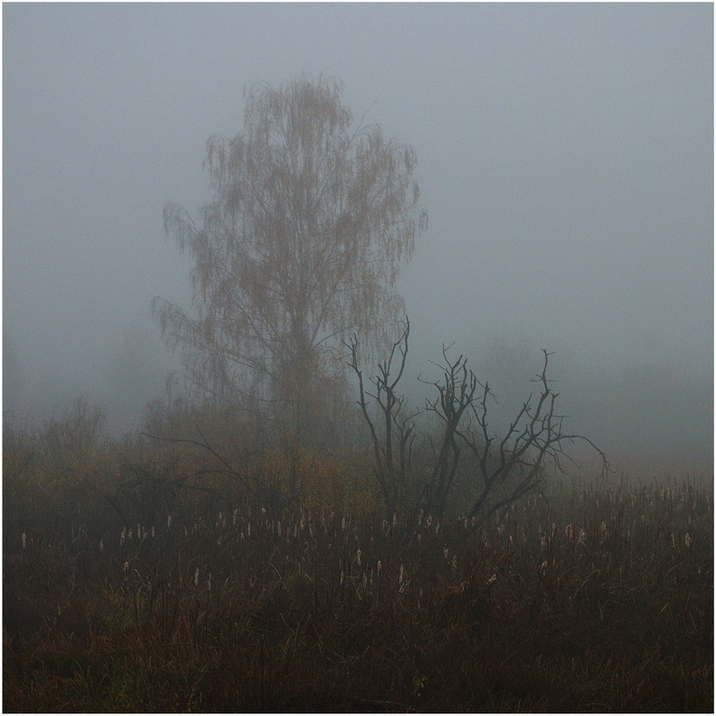 Фотографія Пейзаж / Сергей Кочубей / photographers.ua