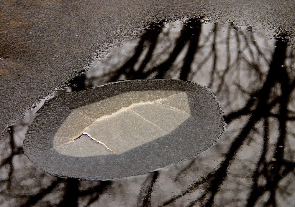 Фотографія Разное / Сергей Кочубей / photographers.ua