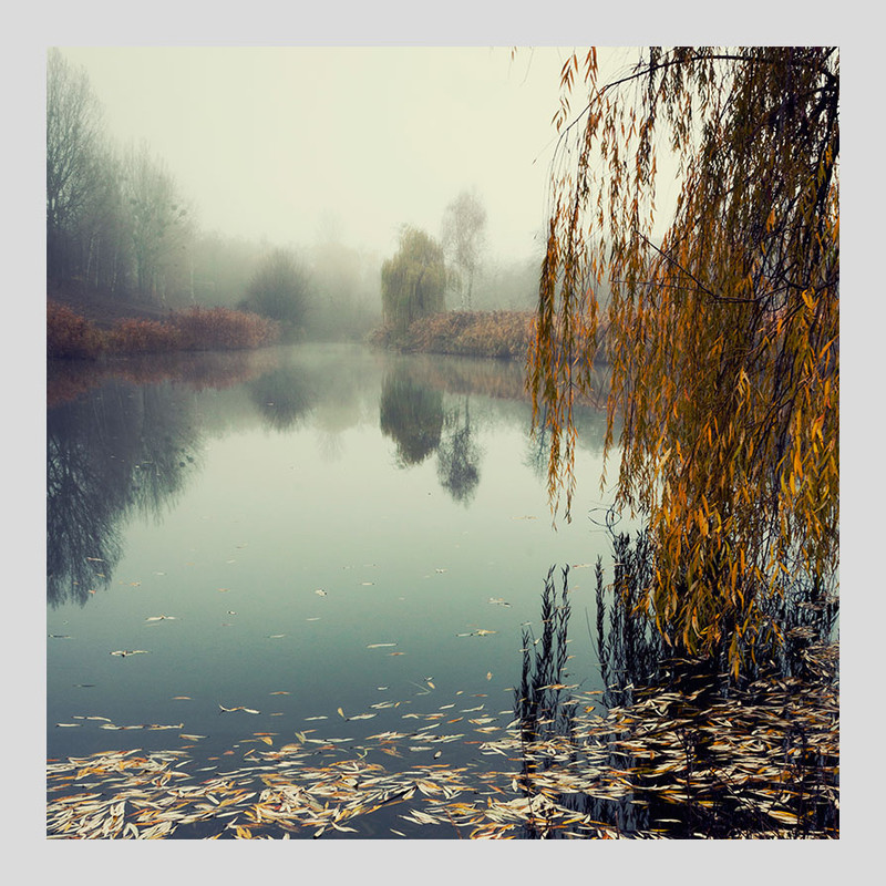 Фотографія Пейзаж / Завертаний Андрій / photographers.ua