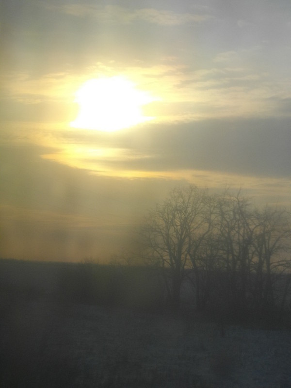 Фотографія .... / Ольга Каминская / photographers.ua