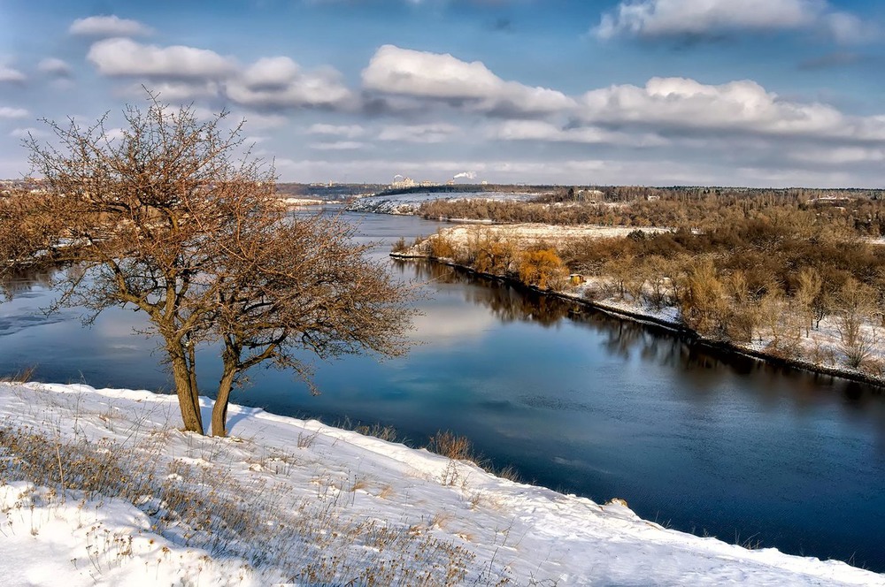 Фотографія Рыжая зима / Владимир :) / photographers.ua