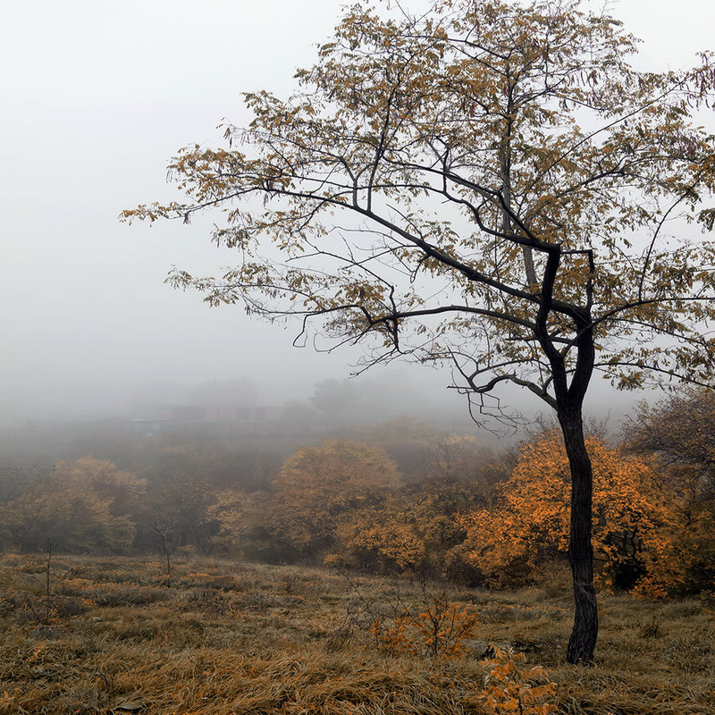 Фотографія "Уж небо осенью дышало…" / Владимир :) / photographers.ua