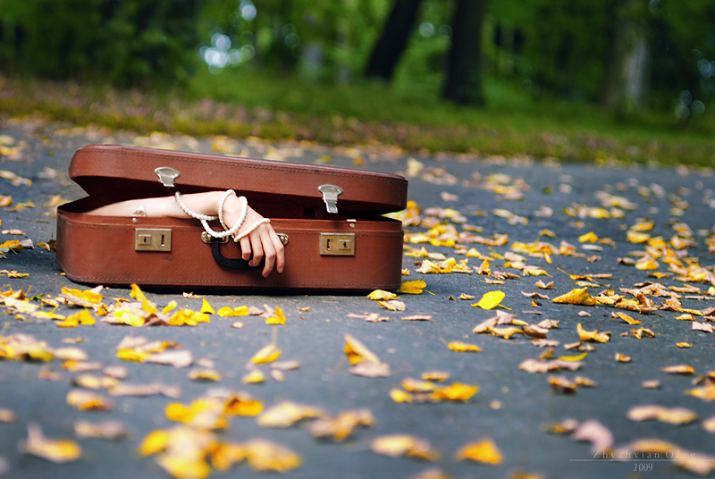 Фотографія "осень в чемодане" / Олег Жижиян / photographers.ua