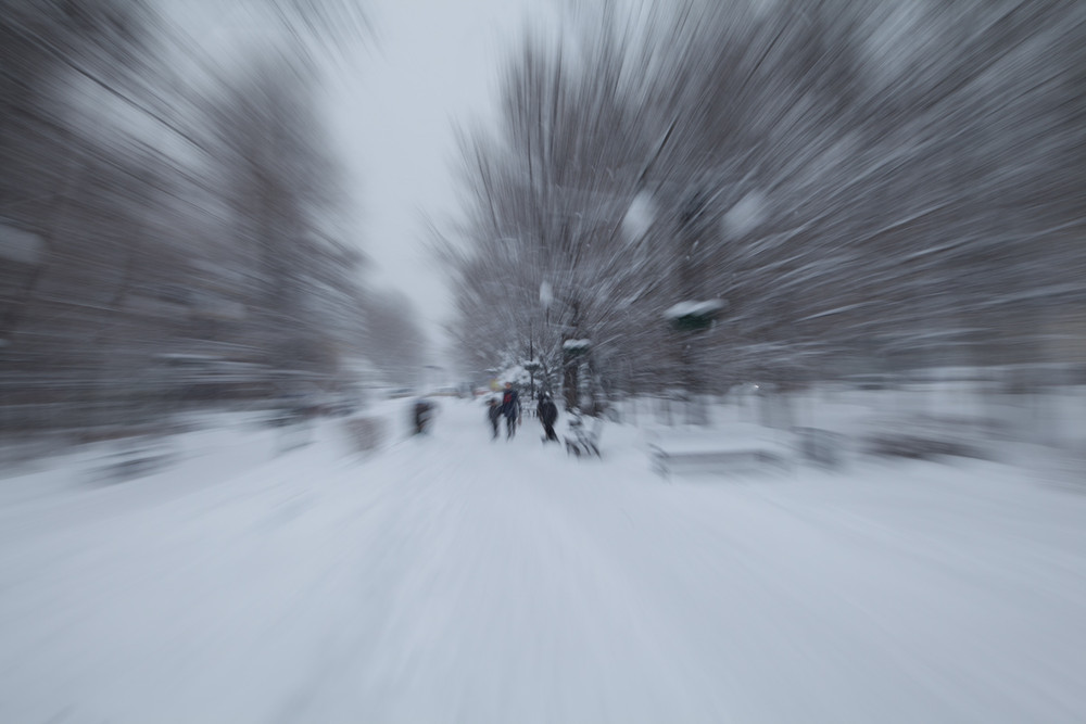 Фотографія Долгожданный снежок / Надежда Чичерова / photographers.ua