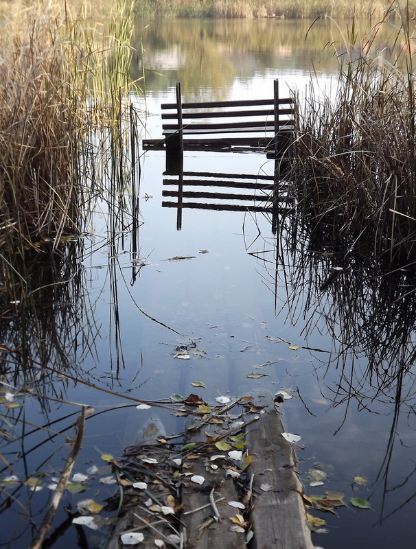 Фотографія В одиночестве / Александр / photographers.ua