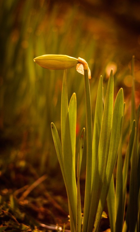 Фотографія Разное / Anatoliy / photographers.ua