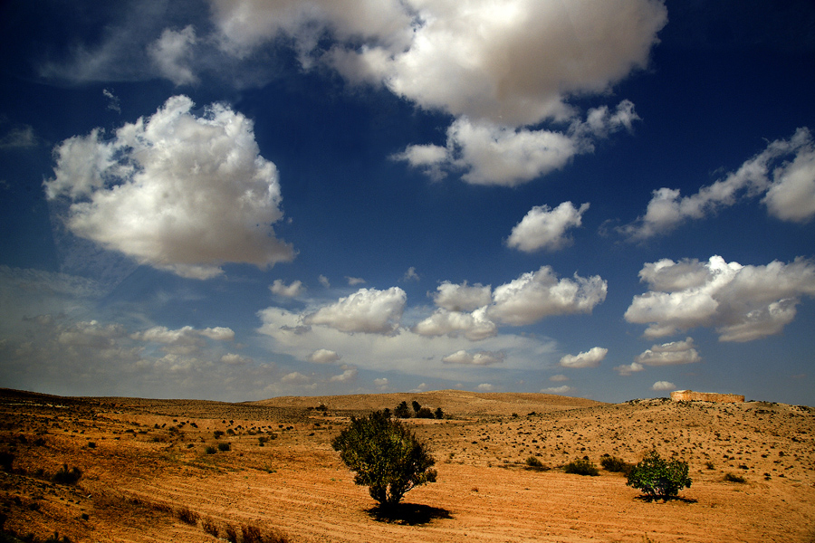 Фотографія Сахара в октябре / Александр  М. / photographers.ua