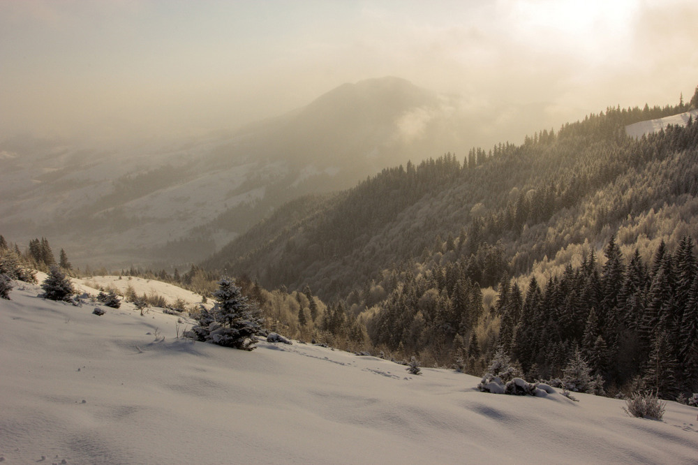 Фотографія Пейзаж / Хираш Владимир / photographers.ua