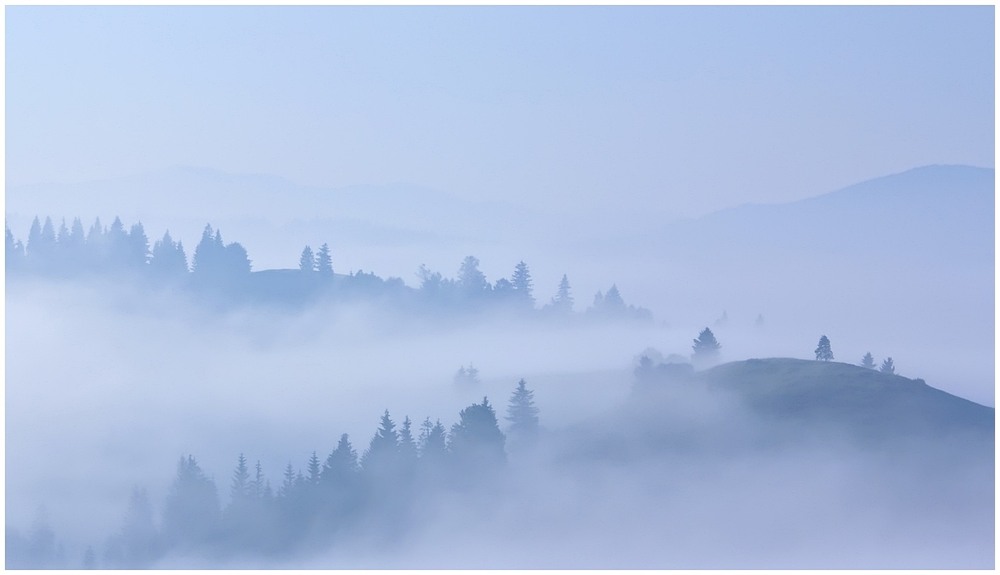Фотографія в обіймах ранкового туману / Хираш Владимир / photographers.ua
