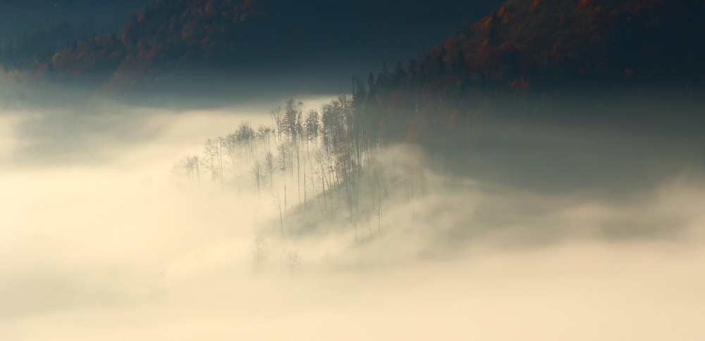 Фотографія таємничі тумани осені 1 / Хираш Владимир / photographers.ua