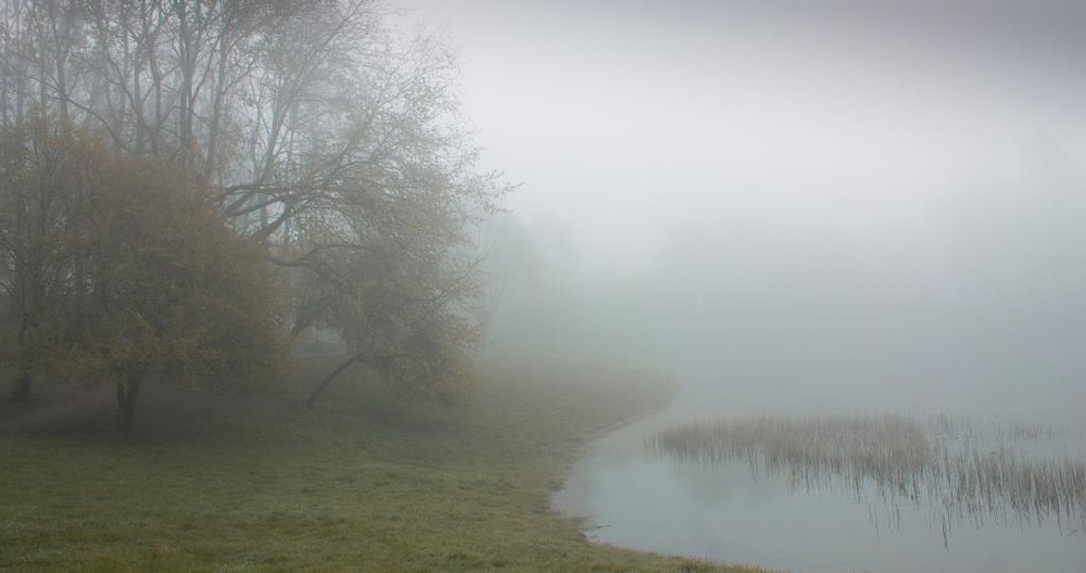 Фотографія Утро туманное, утро седое... / Maxim / photographers.ua