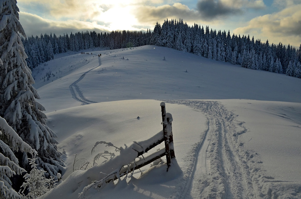Фотографія Путешествие / Андрій Плішко / photographers.ua