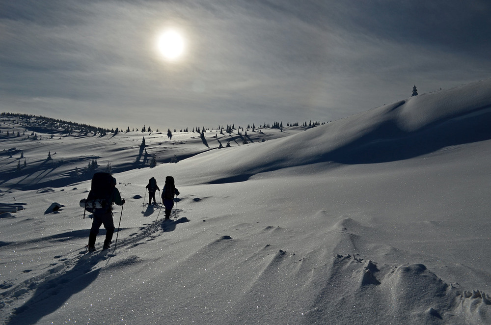 Фотографія Подорож сніговою пустелею / Андрій Плішко / photographers.ua