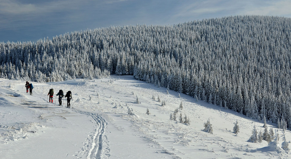Фотографія Путешествие / Андрій Плішко / photographers.ua