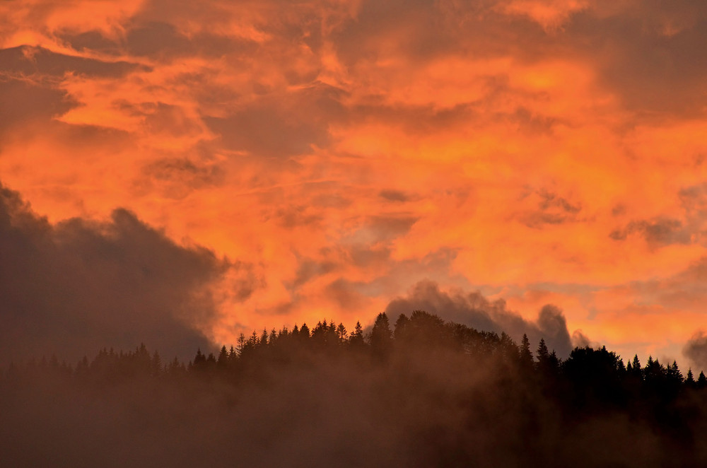 Фотографія Палаючий небосхил... / Андрій Плішко / photographers.ua