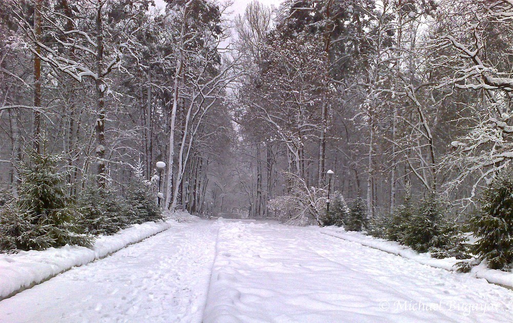 Фотографія В зимнем парке / bmv / photographers.ua