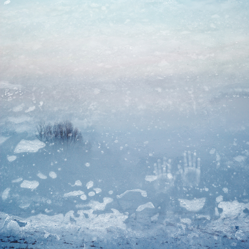 Фотографія The Hounds Of Winter / Игорь Лиховидов / photographers.ua
