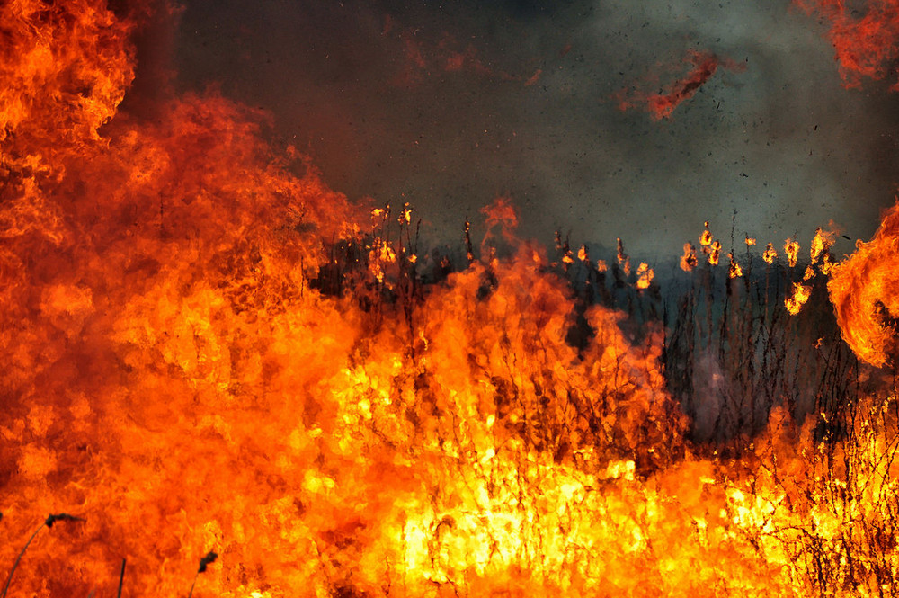 Фотографія Стихия / Александр,Золотарев / photographers.ua