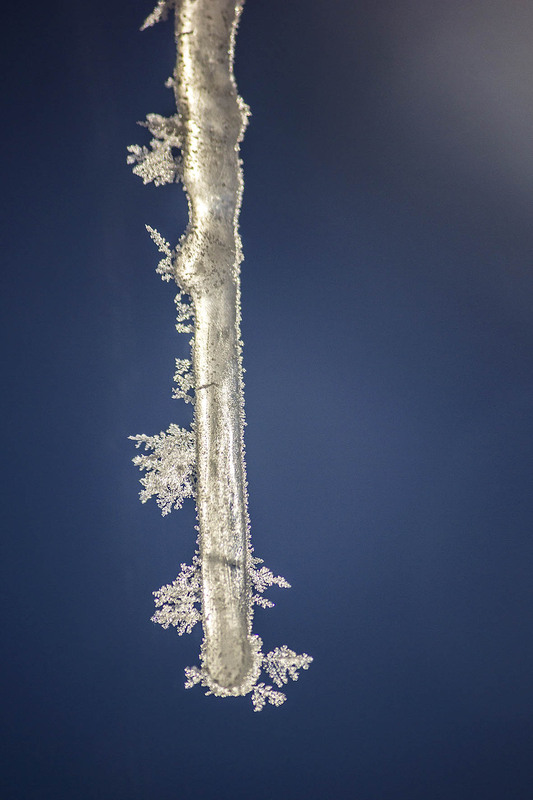 Фотографія Ранішній морозець / Alex Tom / photographers.ua