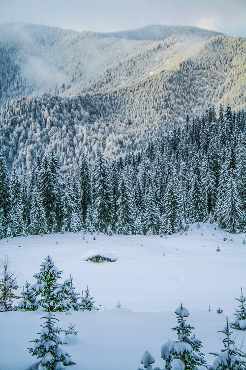 Фотографія Зимова  полонина. / Robert / photographers.ua